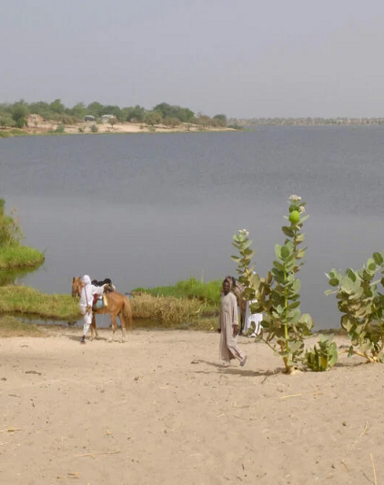 Lac-Tchad